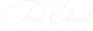 cropped te logo 2.png