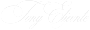 cropped te logo 2.png